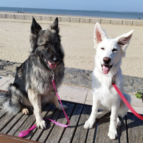Wynona et Betsy