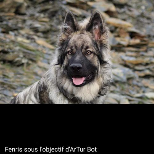 Photo d'ArTur Bot