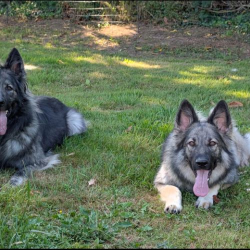 Wyllow Pepper et Babsy